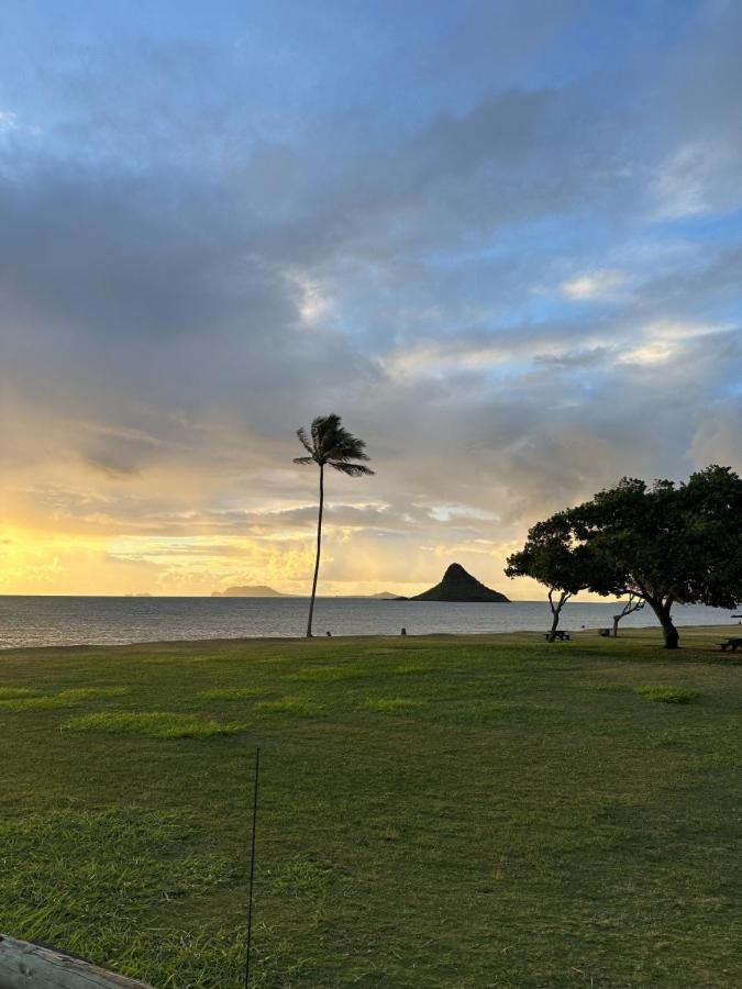 Вілла Tropical Paradise Retreat Hau'ula Екстер'єр фото