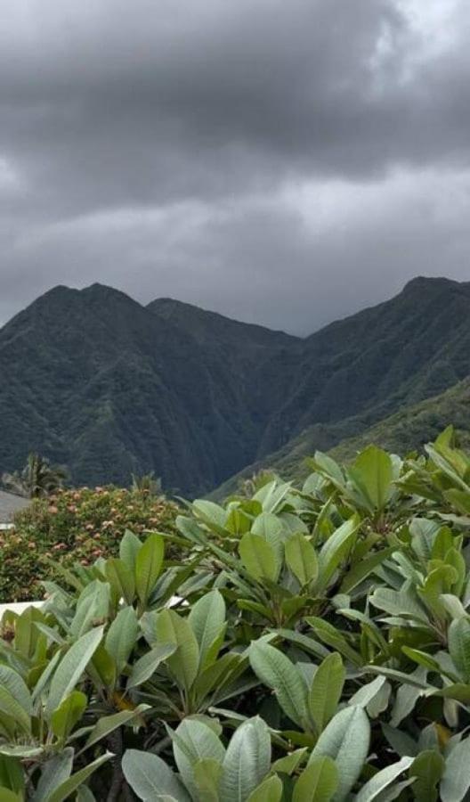 Вілла Tropical Paradise Retreat Hau'ula Екстер'єр фото