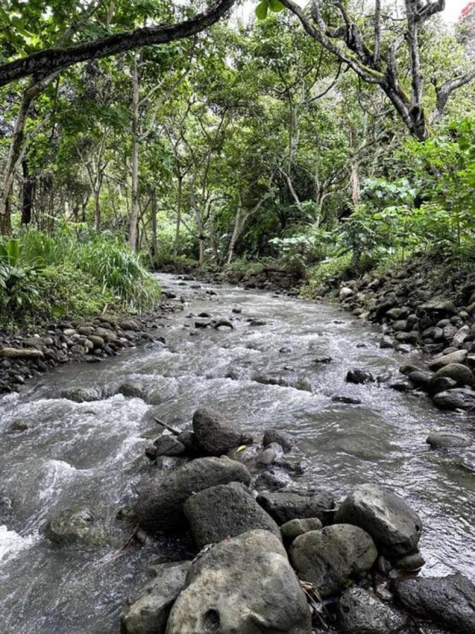 Вілла Tropical Paradise Retreat Hau'ula Екстер'єр фото